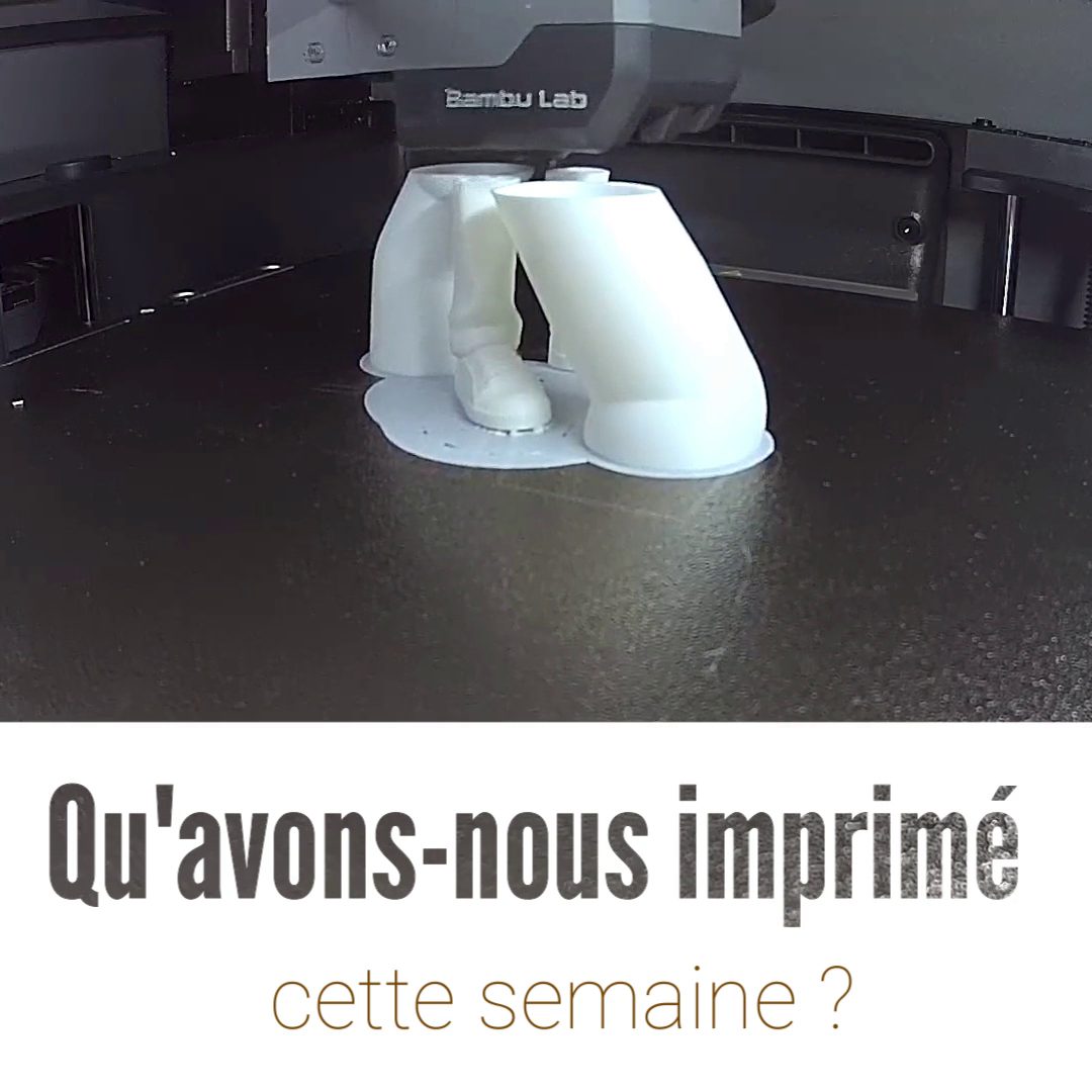 Qu’avons-nous imprimé cette semaine ? À la découverte de Stan et de l’offre Tripo !